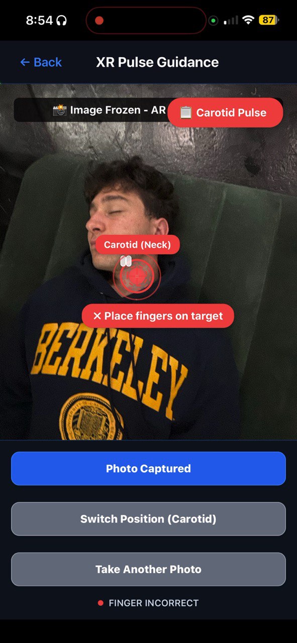 Pulse Assessment Interface